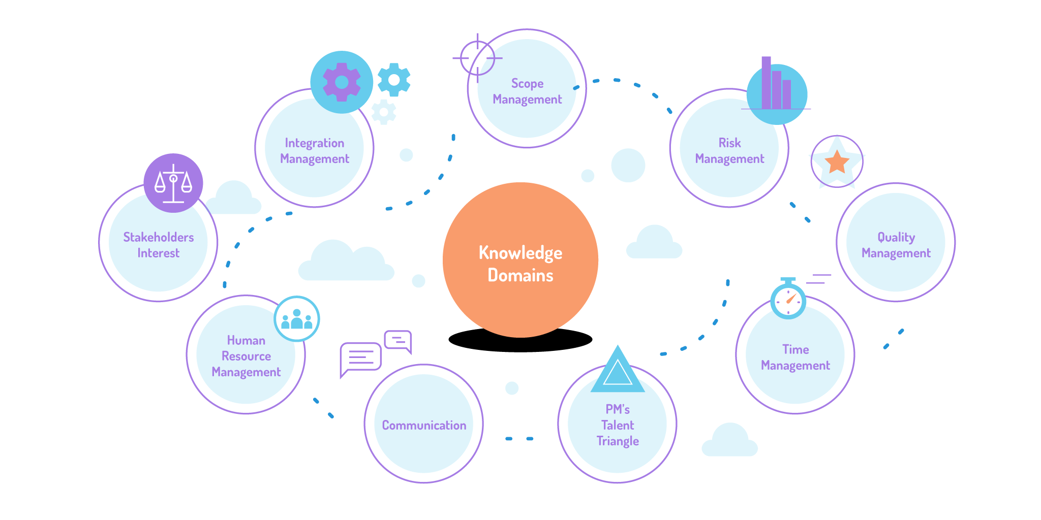 PM knowledge domains